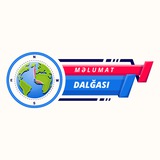 Məlumat Dalğası