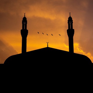 أصوات قرآنية