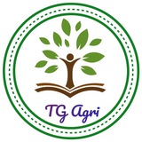 JRF Plant Science (TG agri official)