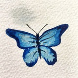 ميـنرڤـا 🦋 .