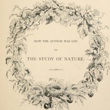 De Natura - Biological Illustrations