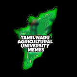 tnaumemesoriginals