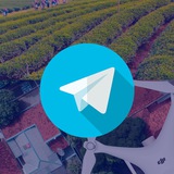 DronEng: Topografia com Drones