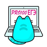 PRO100 ЕГЭ Информатика