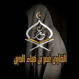 عمر بن ضياء الدين