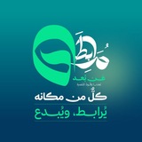 فريق مرابطات عن بعد 💚