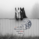 خيـل 𓃗