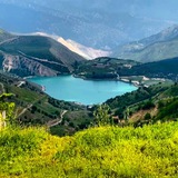 نجباء