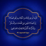 محبي الشيخ وليد ابن راشد السعيدان