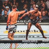REALMMA
