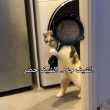 Recipes 🥘