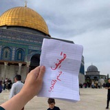 صَفيفْ."🩵