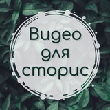 Видео для сторис