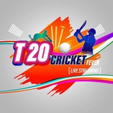 T20