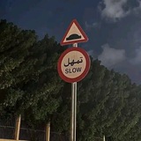 أحبابي الغياب.
