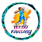 TEEDU FANTASY