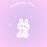 (๑˙❥˙๑)𝓐𝓮𝓼𝓽𝓱𝓮𝓽𝓲𝓬 𝓟𝓲𝓬𝓼·˚ ༘₊· ͟͟͞͞꒰➳: ̗̀➛
