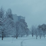 Панельки