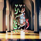 – نُــورُ الهُدىٰ 𓂆 غَــزَةُ | 🤍 🌿
