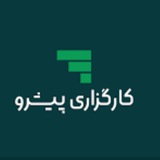 مهدی دولت/کارگزاری پیشرو