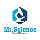 G.6 Mr.science 2025