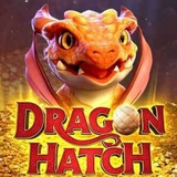 DRAGON HATCH SINAL BOT SINAIS