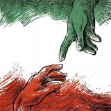سپید تحلیل
