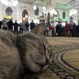 «اثَرْ جميلٌ قبلَ الرحِيل 🫂 ❤ »
