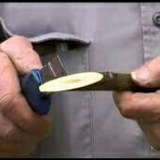 انجمن تخصصی پیوند و هرس ایران