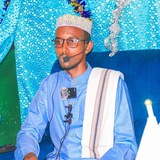 عبد الناصر محمد الطبلاوي