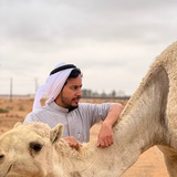 عناد الشيباني ،