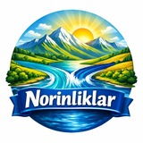 NORINLIKLAR | RASMIY KANALI