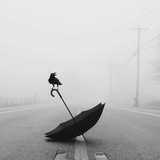 مُقتطَف.