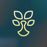 Finlit.uz - финансовая грамотность