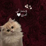 𝙰𝙸𝚃𝙼𝙸𝙽 || اطمئنان 🖤 🫂