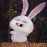 꿀잠성투