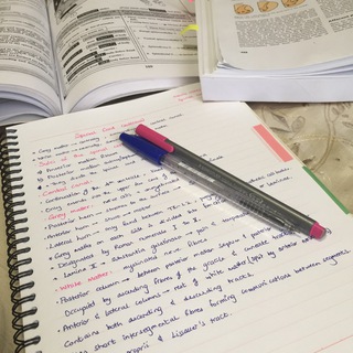 Medwithmaram notes and resources
