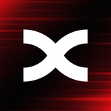 BingX Egypt