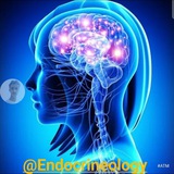 Endocrine Courses