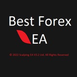 Best Scalping EA