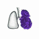 روح بنفسجية 💜