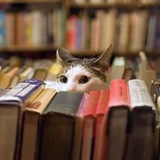 Книги по истории и не только