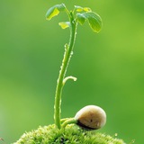 Malayalam Kavithakal മലയാളം കവിതകൾ
