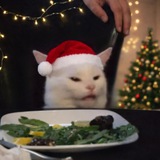 RegaLeakShit 🎄