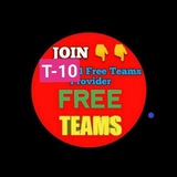 Free TEAM PROVIDER