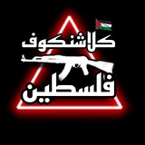 كلاشنكوف فلسطين
