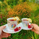 آرامش و سلامت 🪴