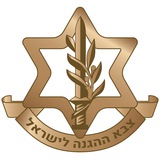 צה״ל - עדכוני משרתים