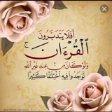 الورد اليومي من القرآن 💙 🌸