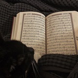 -أرجوحة مشاعرَ.
